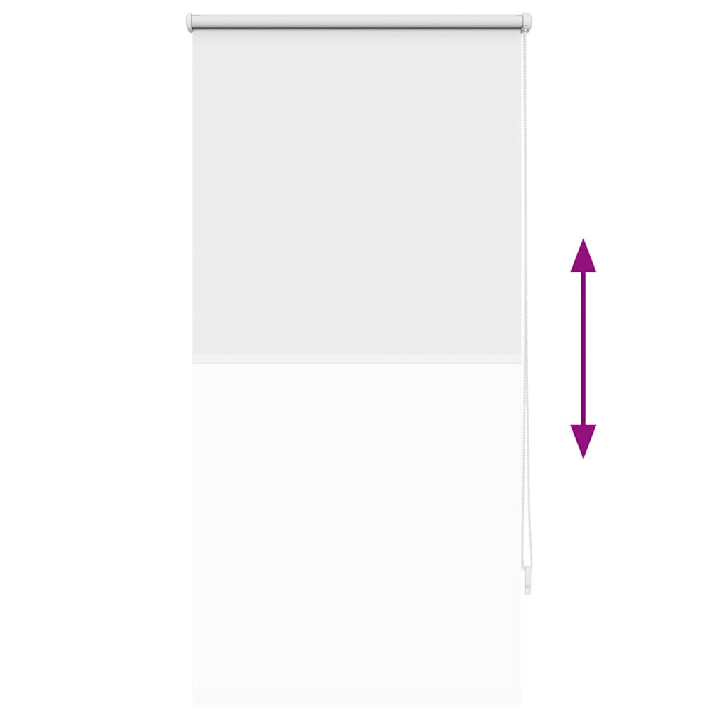 Στόρι Ρόλερ Συσκότισης 64,4 x 120 εκ. Πλάτος Υφάσματος 60 εκ. Λευκό - PAKOBAZAAR