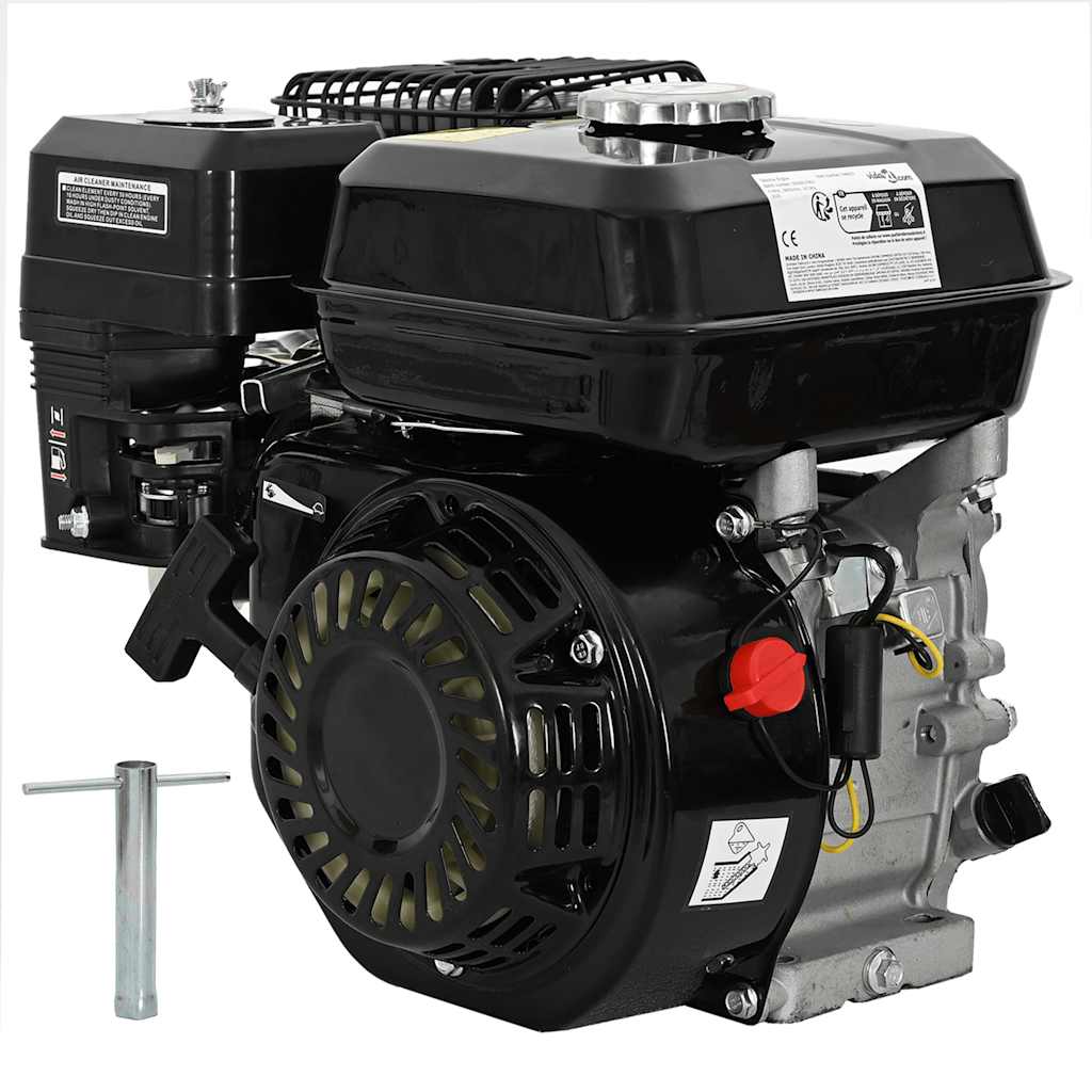 Βενζινοκινητήρας 6,5 HP 4,8 kW Μαύρος - Pakobazaar