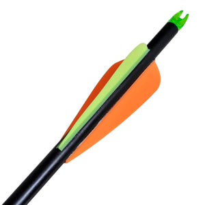 Βέλη για Σύνθετο Τόξο 12 τεμ. 30" 0,8 εκ. από Fiberglass