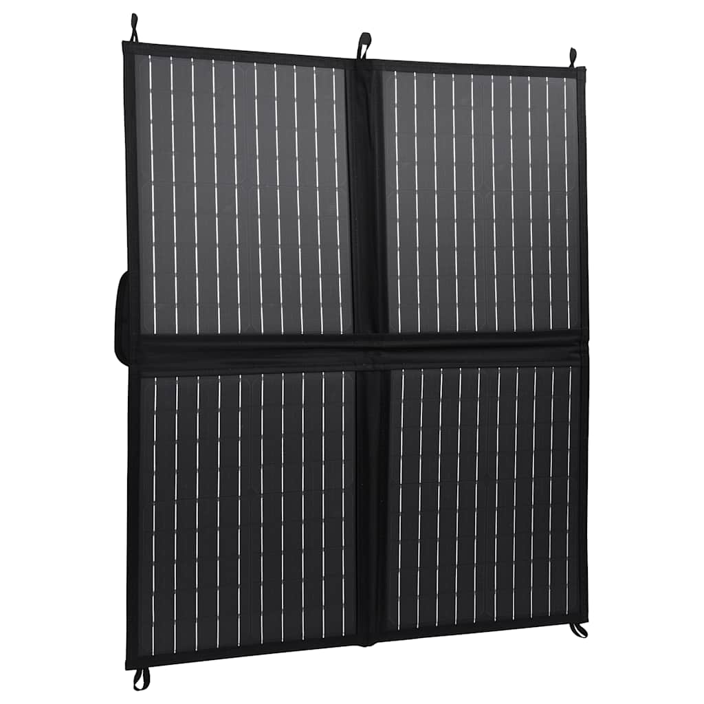 Ηλιακός Φορτιστής με Πάνελ Πτυσσόμενος 80 W 12 V