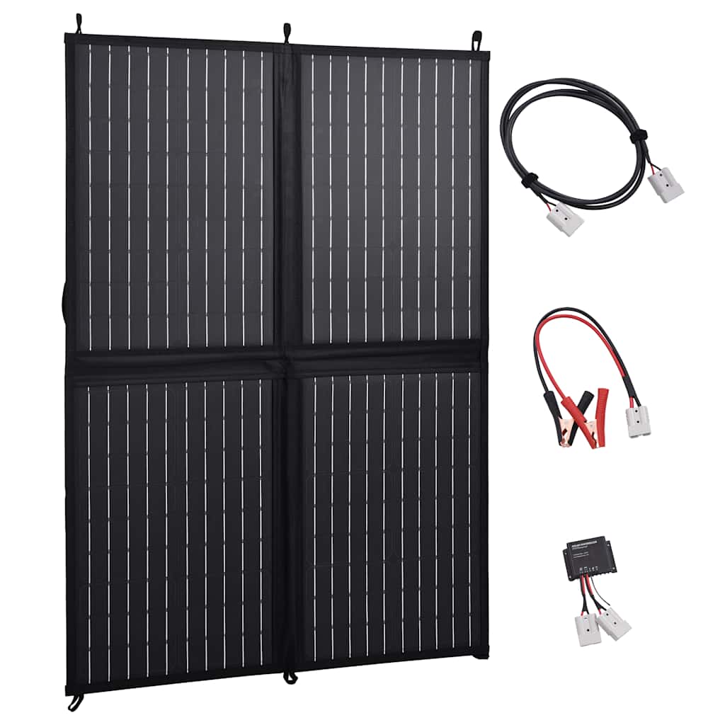 Ηλιακός Φορτιστής με Πάνελ Πτυσσόμενος 100 W 12 V