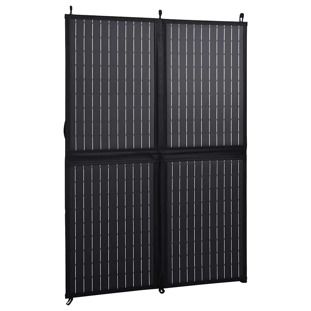 Ηλιακός Φορτιστής με Πάνελ Πτυσσόμενος 100 W 12 V