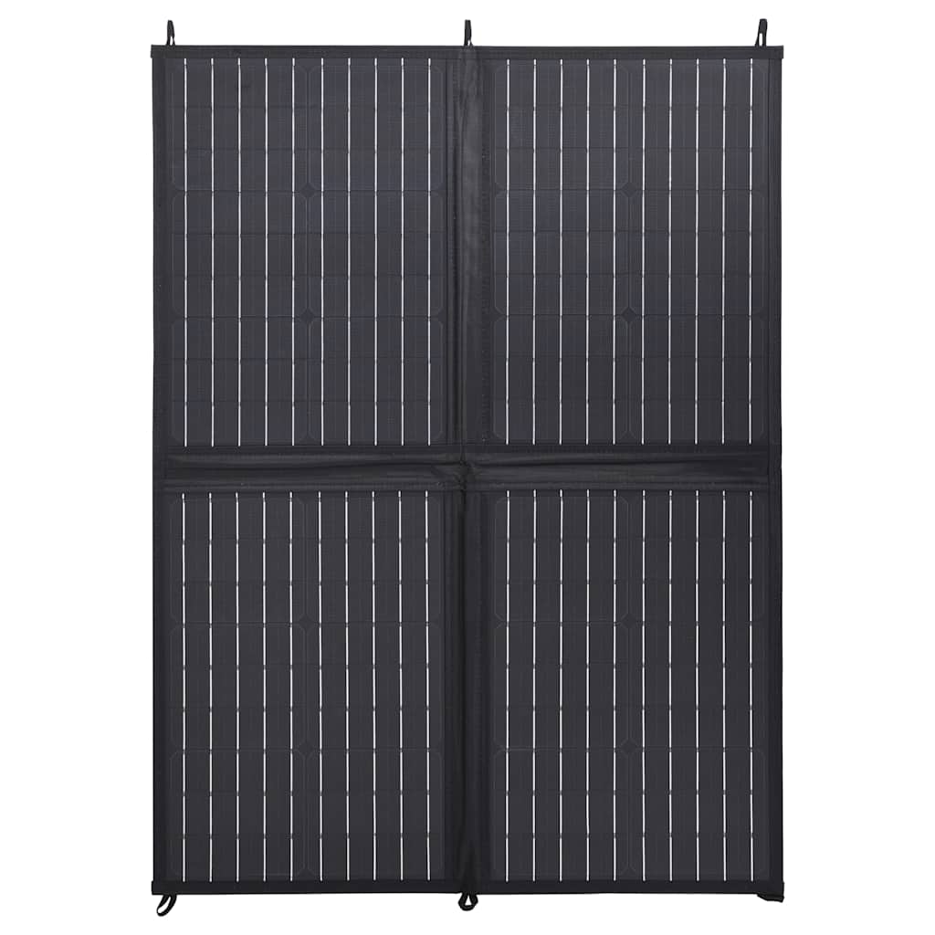 Ηλιακός Φορτιστής με Πάνελ Πτυσσόμενος 100 W 12 V
