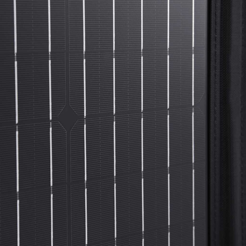 Ηλιακός Φορτιστής με Πάνελ Πτυσσόμενος 100 W 12 V