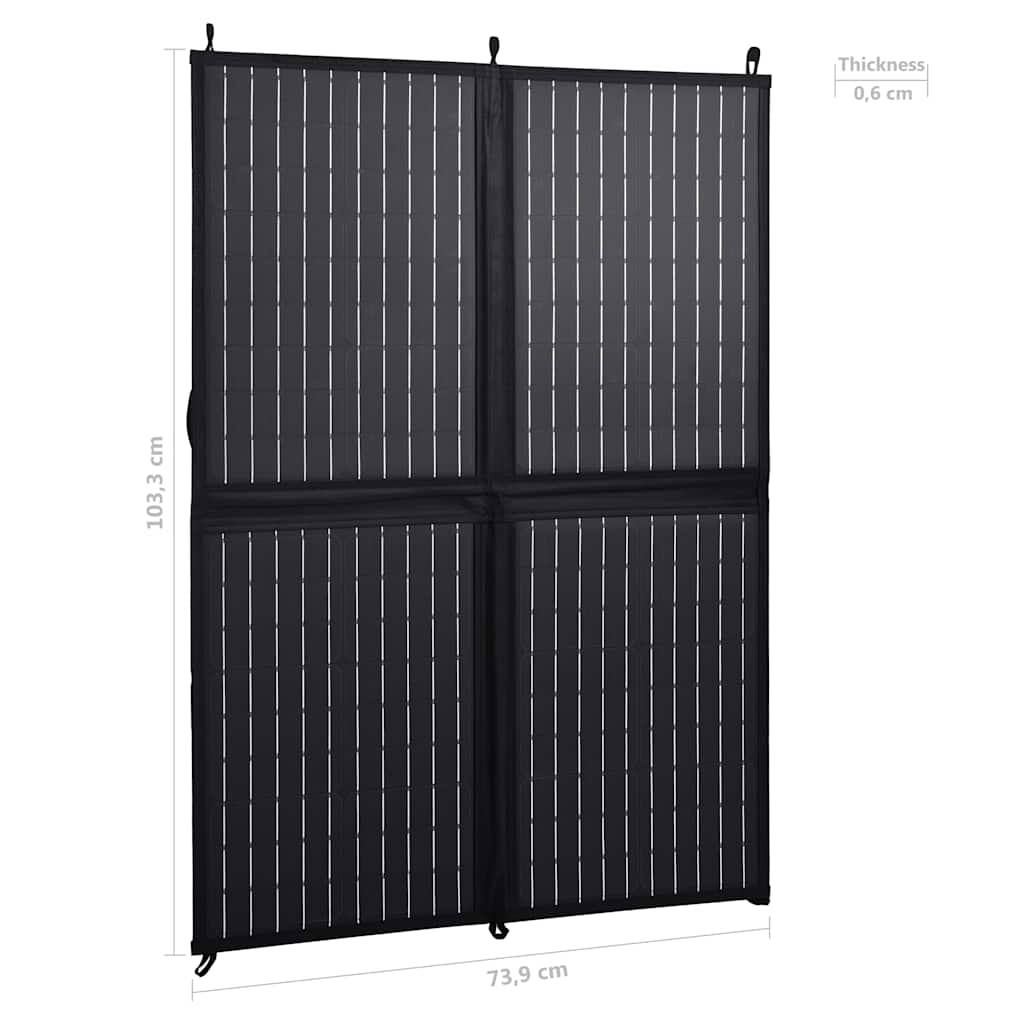 Ηλιακός Φορτιστής με Πάνελ Πτυσσόμενος 100 W 12 V