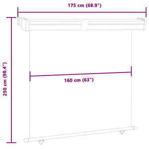 Σκίαστρο Βεράντας Πλαϊνό Μαύρο 175 x 250 εκ.