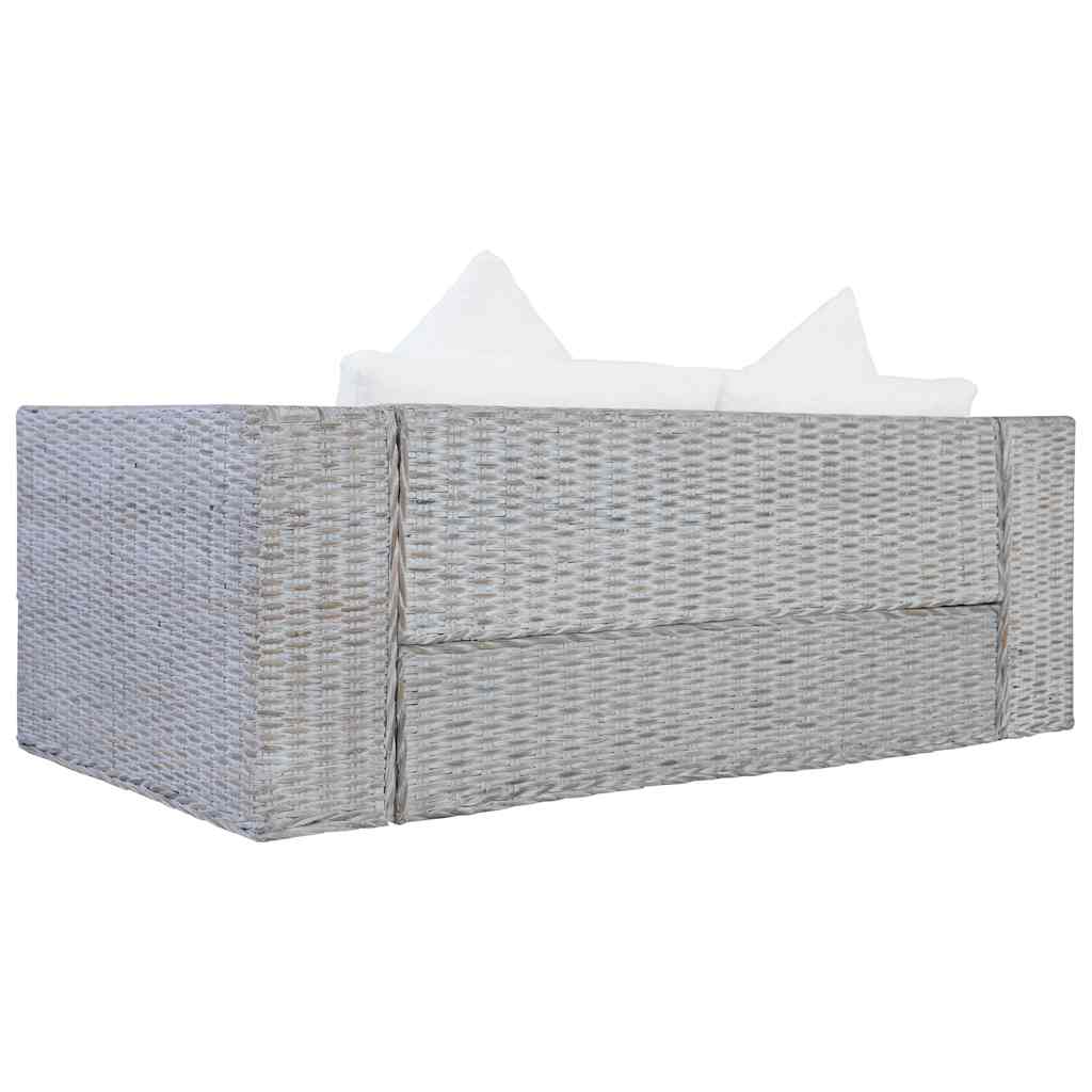 Σετ Σαλονιού 2 Τεμαχίων Γκρι από Γνήσιο Ρατάν με Μαξιλάρια - PAKOBAZAAR