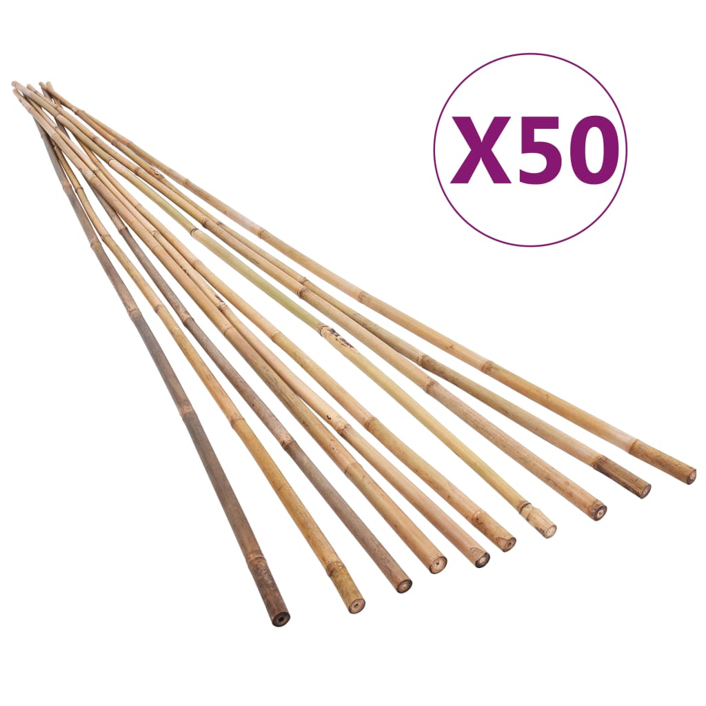 Καλάμια Μπαμπού 50 τεμ. 150 εκ.