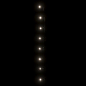 Λαμπάκια LED Εσωτερικού/Εξωτερικού Χώρου 2000 Ψυχρό Λευκό 200 μ - Pakobazaar