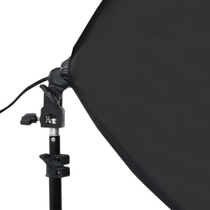 Κιτ Φωτογραφικού Στούντιο Softbox με Φώτα, Φόντο & Ανακλαστήρα