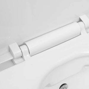 Λεκάνη Κρεμαστή Χωρίς Χείλος Λευκή Κεραμική με Εντοιχ. Καζανάκι - PAKOBAZAAR