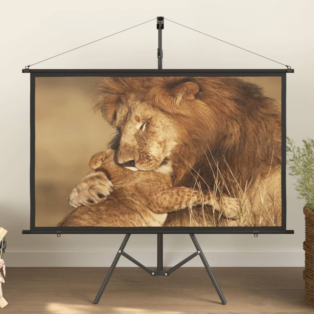 Οθόνη Προβολής με Τρίποδο 60" 16:9