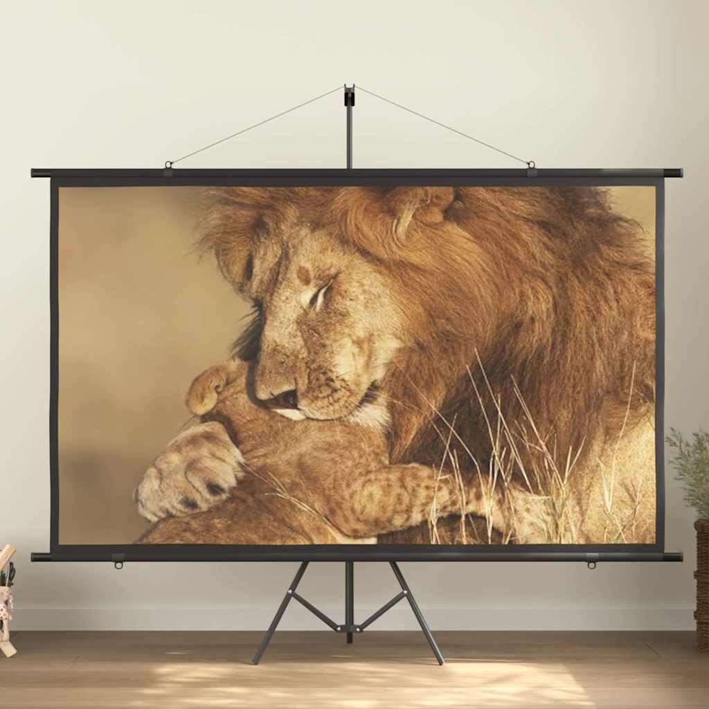 Οθόνη Προβολής με Τρίποδο 100'' 16:9