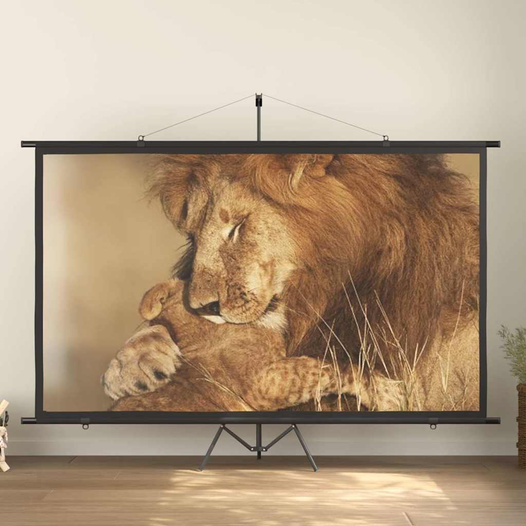 Οθόνη Προβολής με Τρίποδο 120'' 16:9 - Pakobazaar