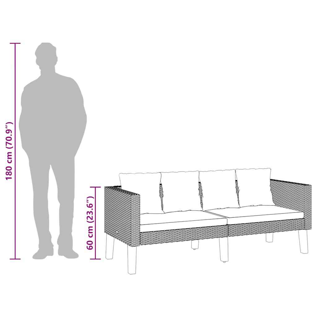 Καναπές Κήπου Διθέσιος Μπεζ από Συνθετικό Ρατάν με Μαξιλάρια - PAKOBAZAAR