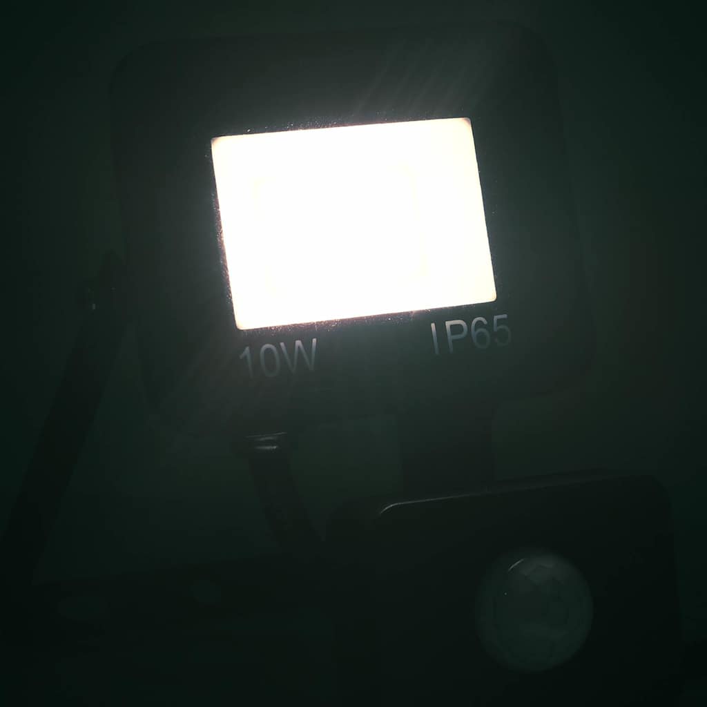 Προβολέας LED με Αισθητήρα Ψυχρό Λευκό 10 W