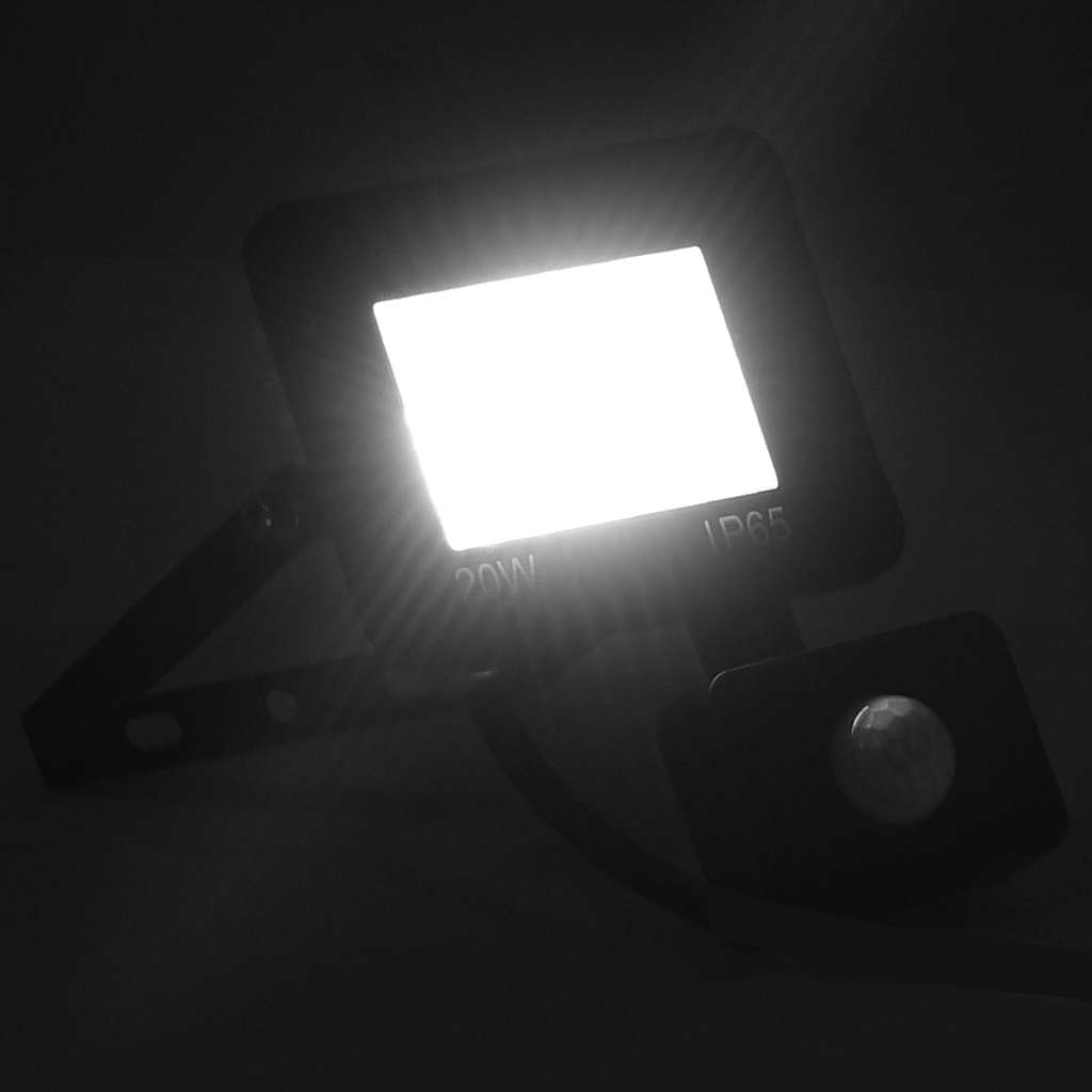 Προβολέας LED με Αισθητήρα Ψυχρό Λευκό 20 W