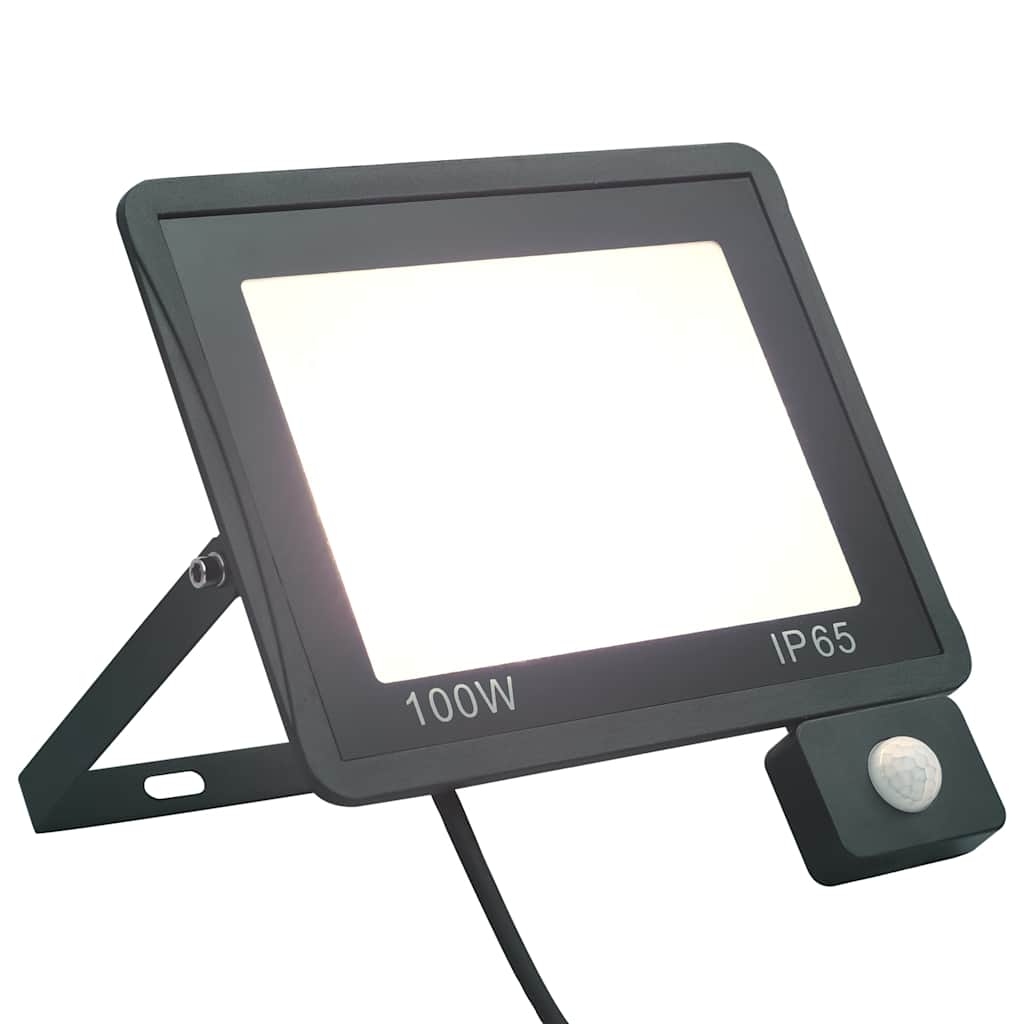 Προβολέας LED με Αισθητήρα Ψυχρό Λευκό 100 W - PAKOBAZAAR