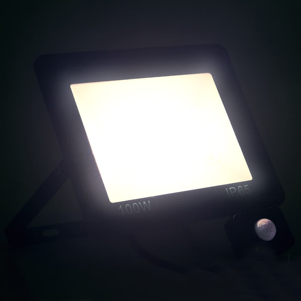 Προβολέας LED με Αισθητήρα Ψυχρό Λευκό 100 W - PAKOBAZAAR
