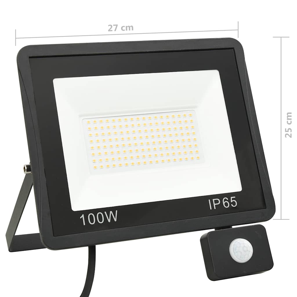 Προβολέας LED με Αισθητήρα Ψυχρό Λευκό 100 W - PAKOBAZAAR