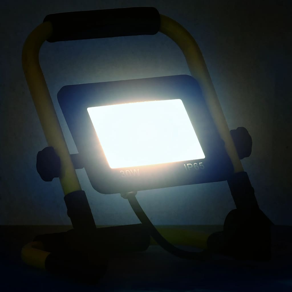 Προβολέας LED με Λαβή Ψυχρό Λευκό 30 W - PAKOBAZAAR