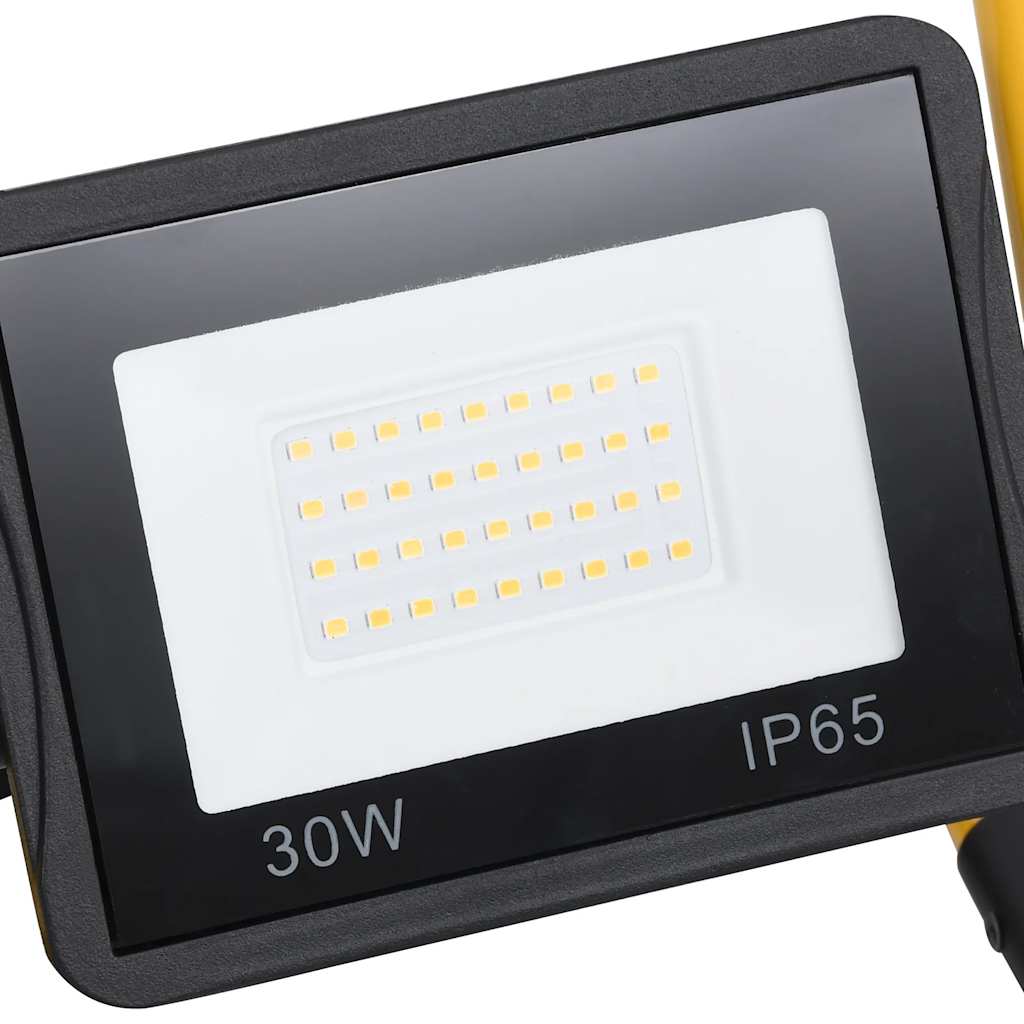 Προβολέας LED με Λαβή Ψυχρό Λευκό 30 W - PAKOBAZAAR