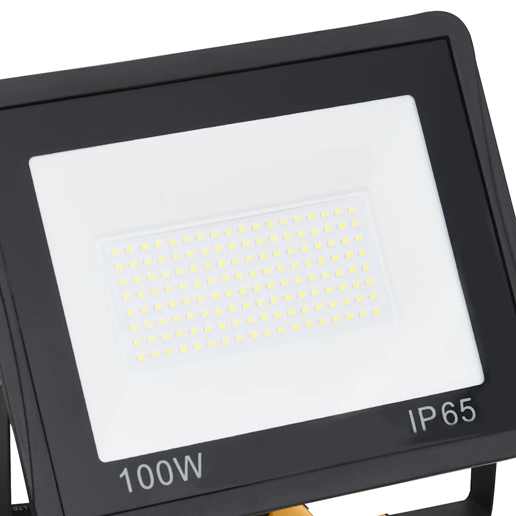 Προβολέας LED με Λαβή Ψυχρό Λευκό 2 x 100 W - Pakobazaar