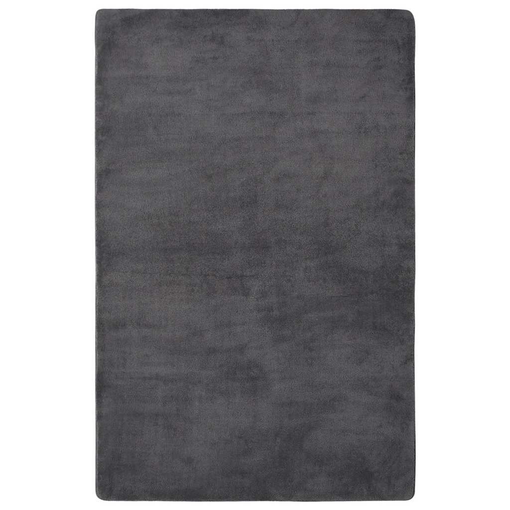 Χαλί Teddy Ανθρακί 230 x 160 εκ. - Pakobazaar