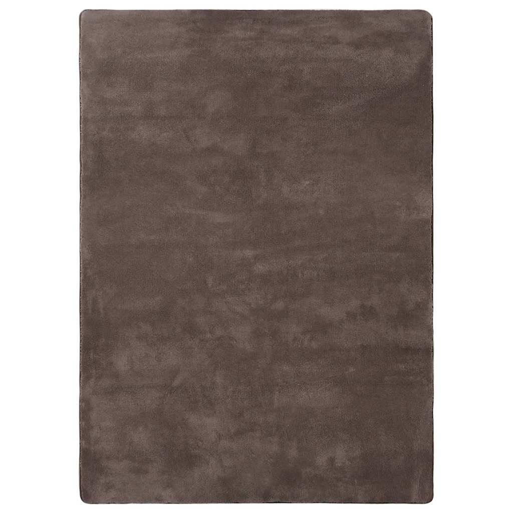 Χαλί Teddy Taupe 170 x 120 εκ. - Pakobazaar