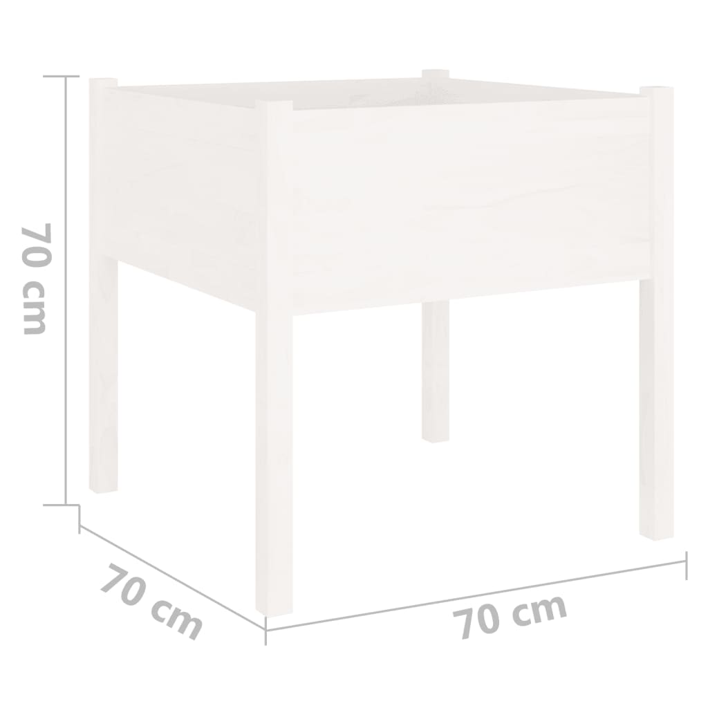 Ζαρντινιέρα Λευκή 70 x 70 x 70 εκ. από Μασίφ Ξύλο Πεύκου