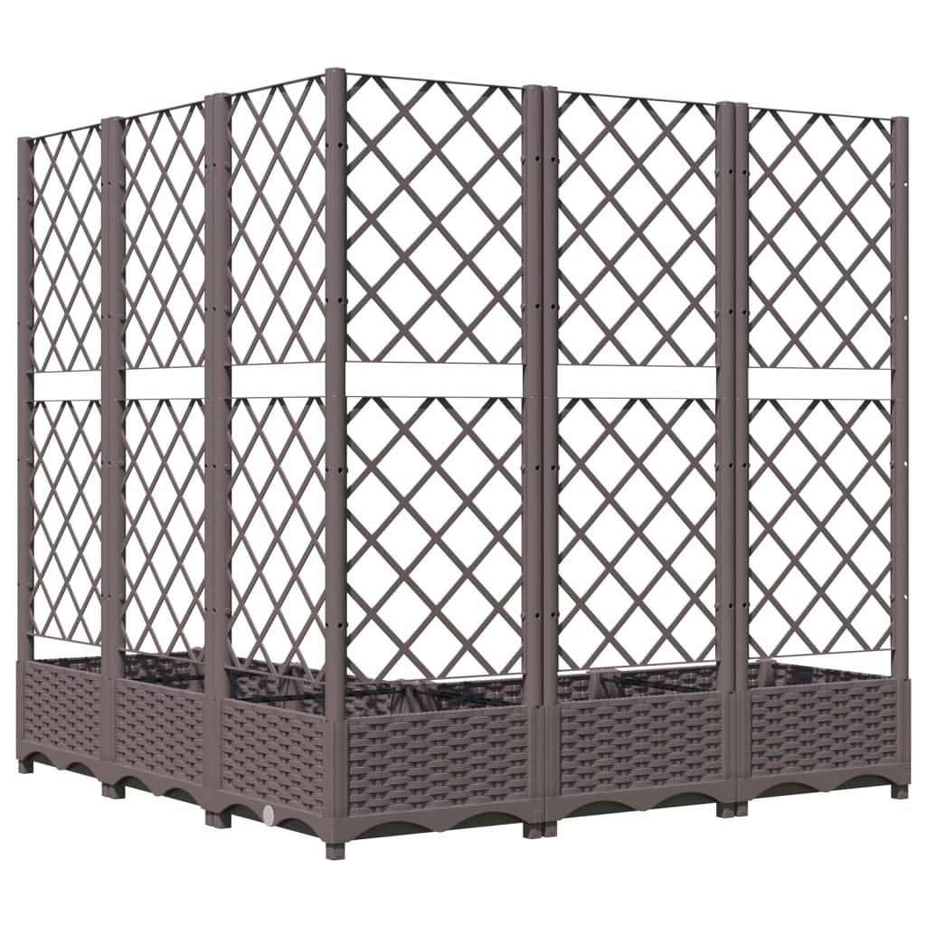 Ζαρντινιέρα Κήπου με Καφασωτό Καφέ 120x120x121,5 εκ. από PP