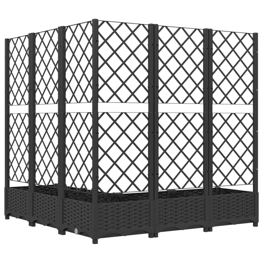 Ζαρντινιέρα Κήπου με Καφασωτό Μαύρο 120x120x121,5 εκ. από PP