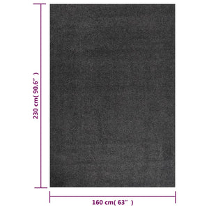 Χαλί Shaggy με Ψηλό Πέλος Ανθρακί 160 x 230 εκ. - Pakobazaar