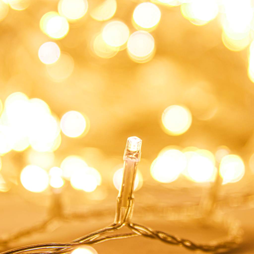 Φωτάκια με 1000 LED Θερμό Λευκό 100 μ. από PVC