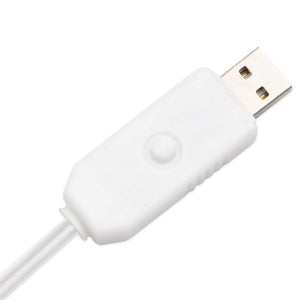 Δέντρο Λευκή Σημύδα με 72 LED Θερμό Λευκό 150 εκ.