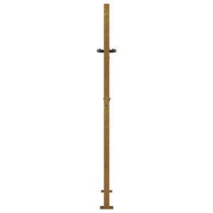 Πόρτα Κήπου με Σχέδιο Χόρτου από Ατσάλι Corten 100x125 εκ. - PAKOBAZAAR