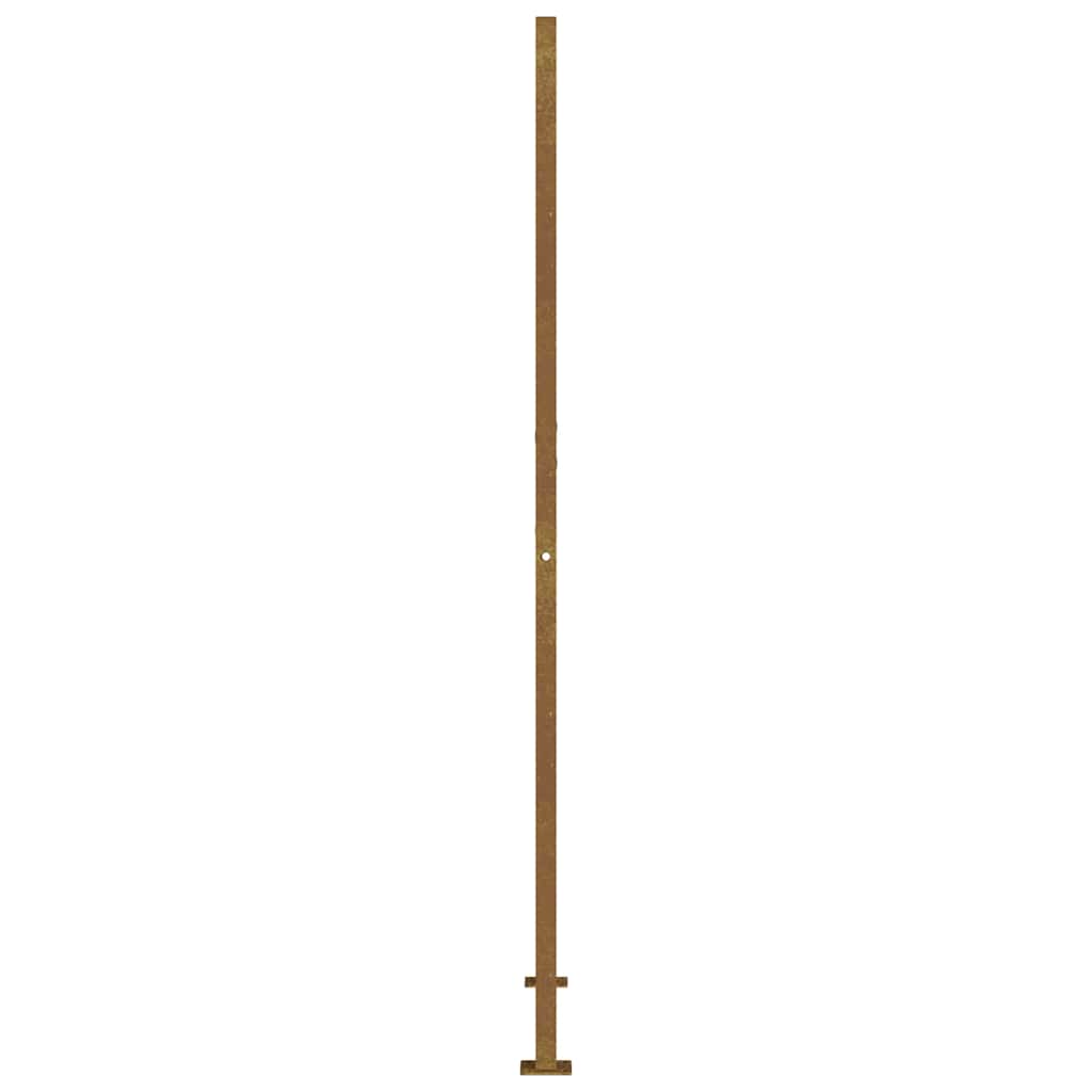 Πόρτα Κήπου Τετράγωνη 100x200 εκ. από Ατσάλι Corten - PAKOBAZAAR