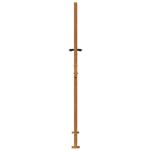 Πόρτα Κήπου 100x200 εκ. από Ατσάλι Corten - Pakobazaar