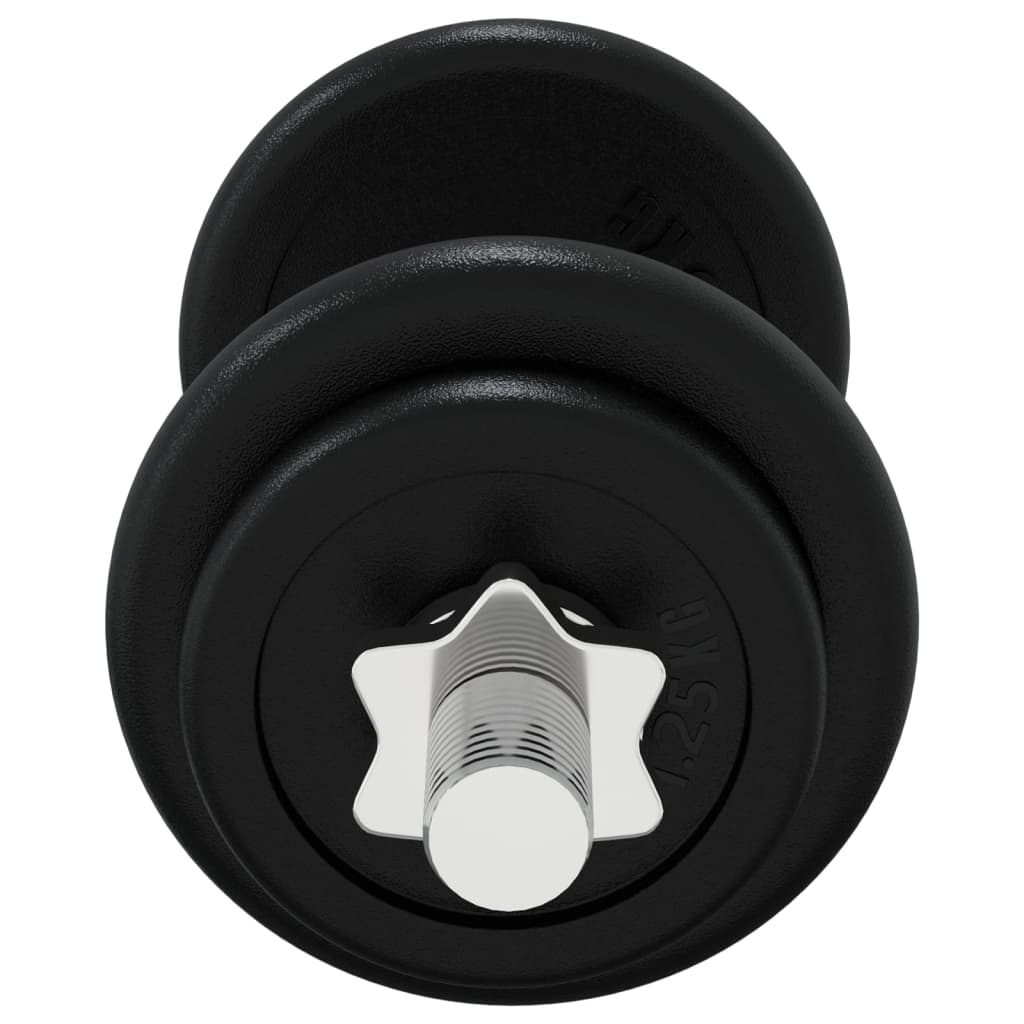 Αλτήρας με Δίσκους 40 Κιλών Χυτοσίδηρο/Επιχρωμιωμένο Ατσάλι