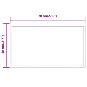 Καθρέφτης Μπάνιου με LED 40x70 εκ.