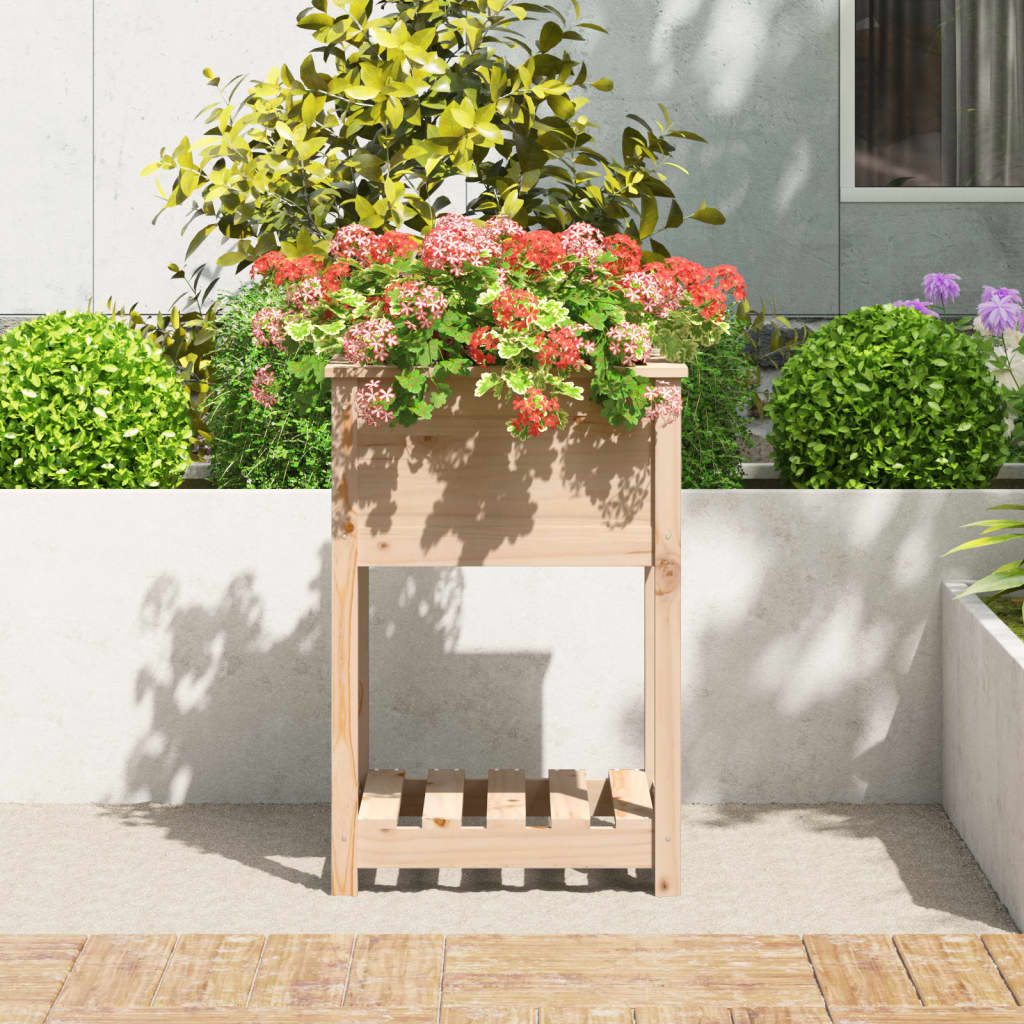 Ζαρντινιέρα με Ράφι 54 x 54 x 81 εκ. Μασίφ Ξύλο Πεύκου