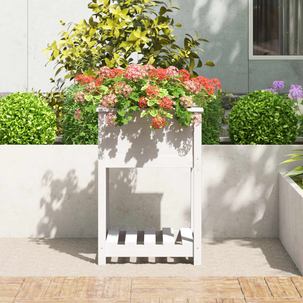Ζαρντινιέρα με Ράφι Λευκή 54 x 54 x 81 εκ. Μασίφ Ξύλο Πεύκου