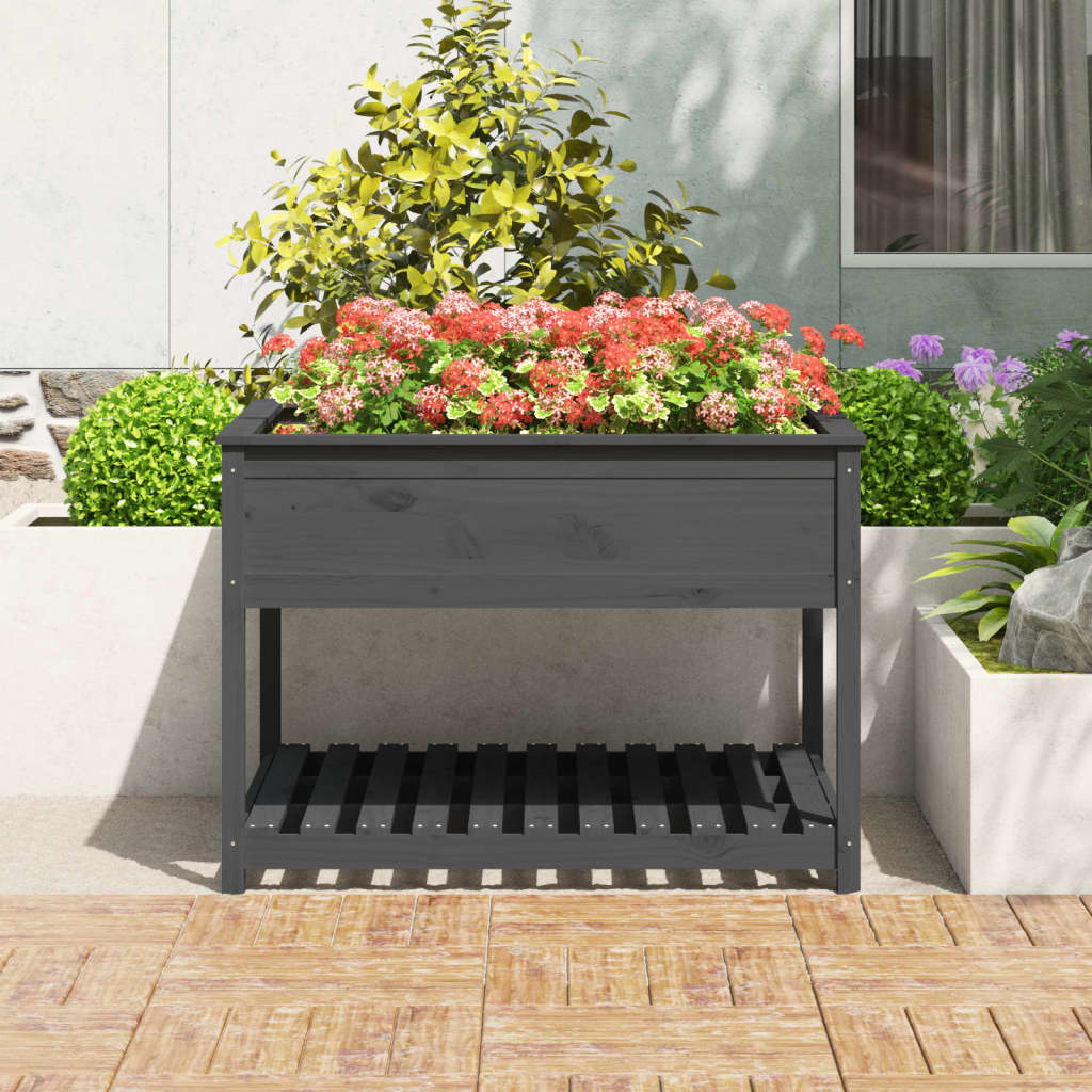 Ζαρντινιέρα με Ράφι Γκρι 111,5x111,5x81 εκ. Μασίφ Ξύλο Πεύκου