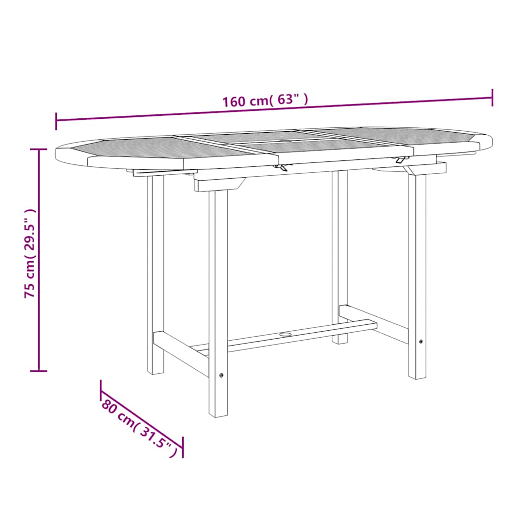 Τραπέζι Κήπου Επεκτεινόμενο 110-160x80x75 εκ. Μασίφ Ξύλο Teak