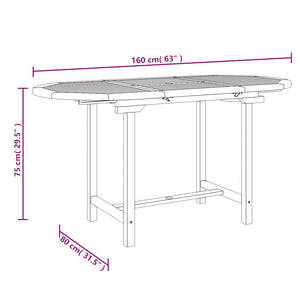 Τραπέζι Κήπου Επεκτεινόμενο 110-160x80x75 εκ. Μασίφ Ξύλο Teak