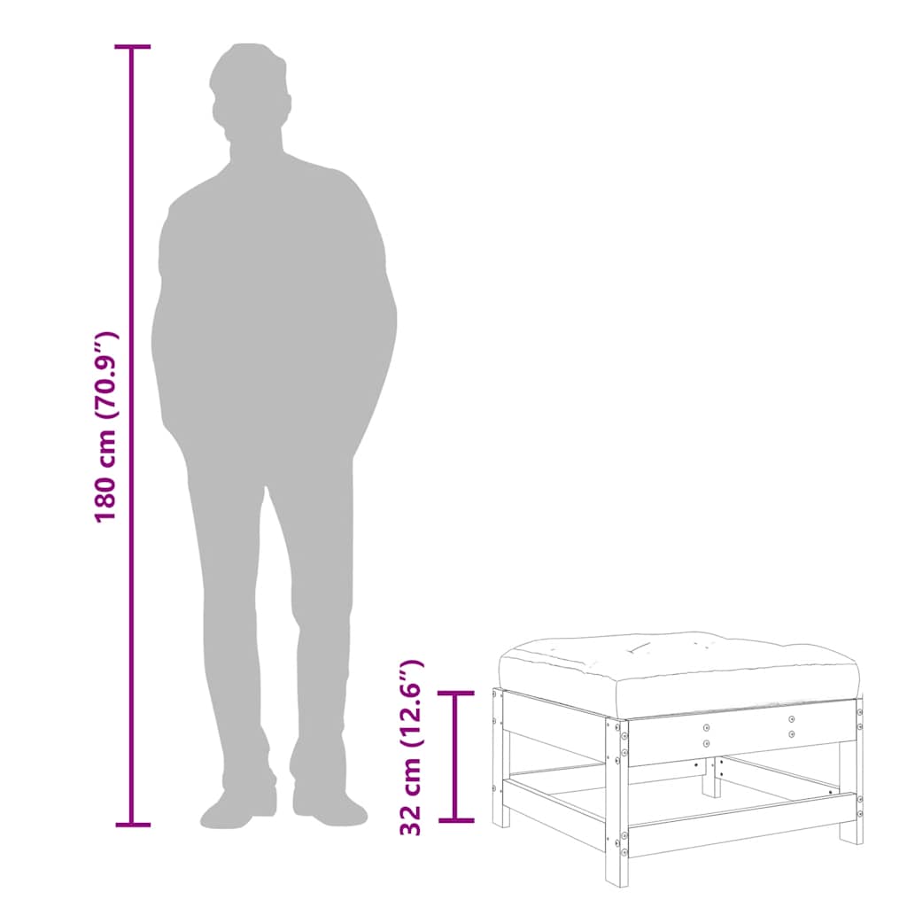 Υποπόδια Κήπου με Μαξιλάρια 2 τεμ. από Μασίφ Ξύλο Ψευδοτσούγκας - Pakobazaar