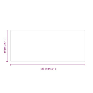 Πλάκα Γυαλιού Τζακιού Διαφανές 120 x 50 cm Γυαλί - Pakobazaar