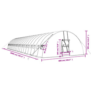 Θερμοκήπιο με Ατσάλινο Πλαίσιο Λευκό 120 μ² 20 x 6 x 2,85 μ.