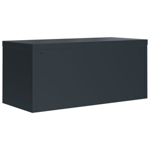 Αρχειοθήκη Ανθρακί 90 x 40 x 220 εκ. Ατσάλινη - Pakobazaar
