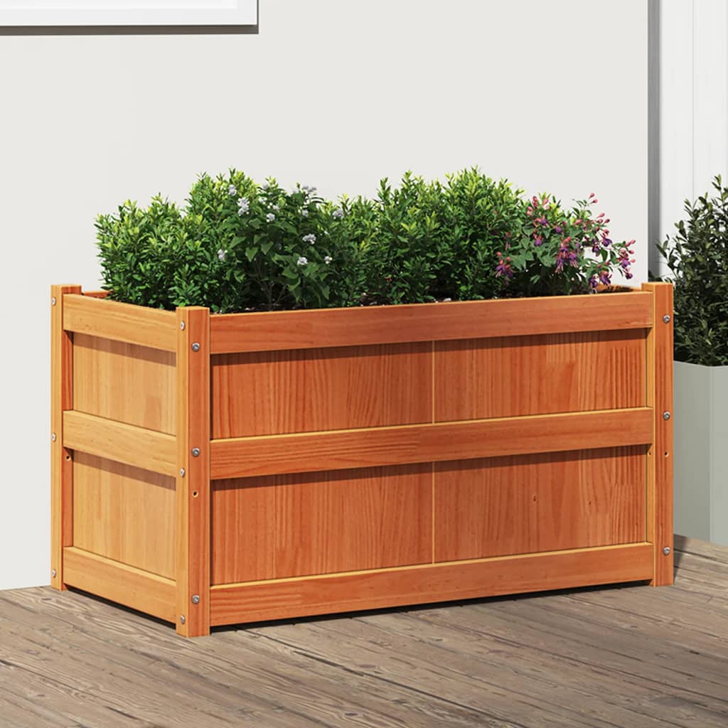 Ζαρντινιέρα Καφέ Κεριού 90 x 50 x 50 εκ. από Μασίφ Ξύλο Πεύκου - Pakobazaar